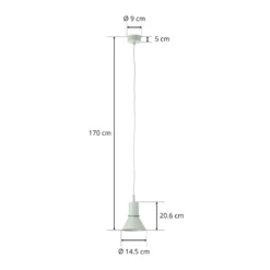 Anglepoise Type 80 Hängeleuchte, pistaziengrün