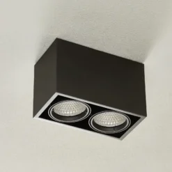 Arcchio Cirdan LED-Deckenlampe, 2-flammig, schwarz