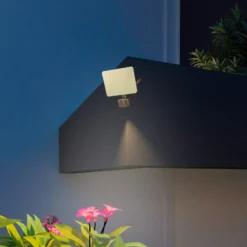 Calex Smart Outdoor Frameless Security, Sensor CCT