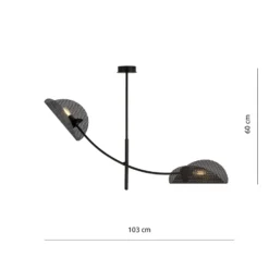 Deckenlampe Gladio, schwarz, zweiflammig