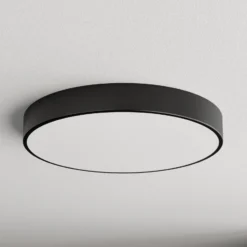Deckenleuchte Cleo, Ø 60 cm, IP20, schwarz, Metall, E27