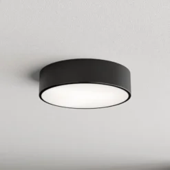 Deckenleuchte Cleo, Ø 30 cm, IP20, schwarz, Metall, E27