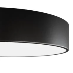 Deckenleuchte Cleo, Ø 20 cm, IP20, schwarz, Metall, E27