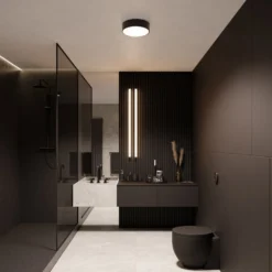 Deckenleuchte Cleo 300, IP54, Ø 30 cm schwarz