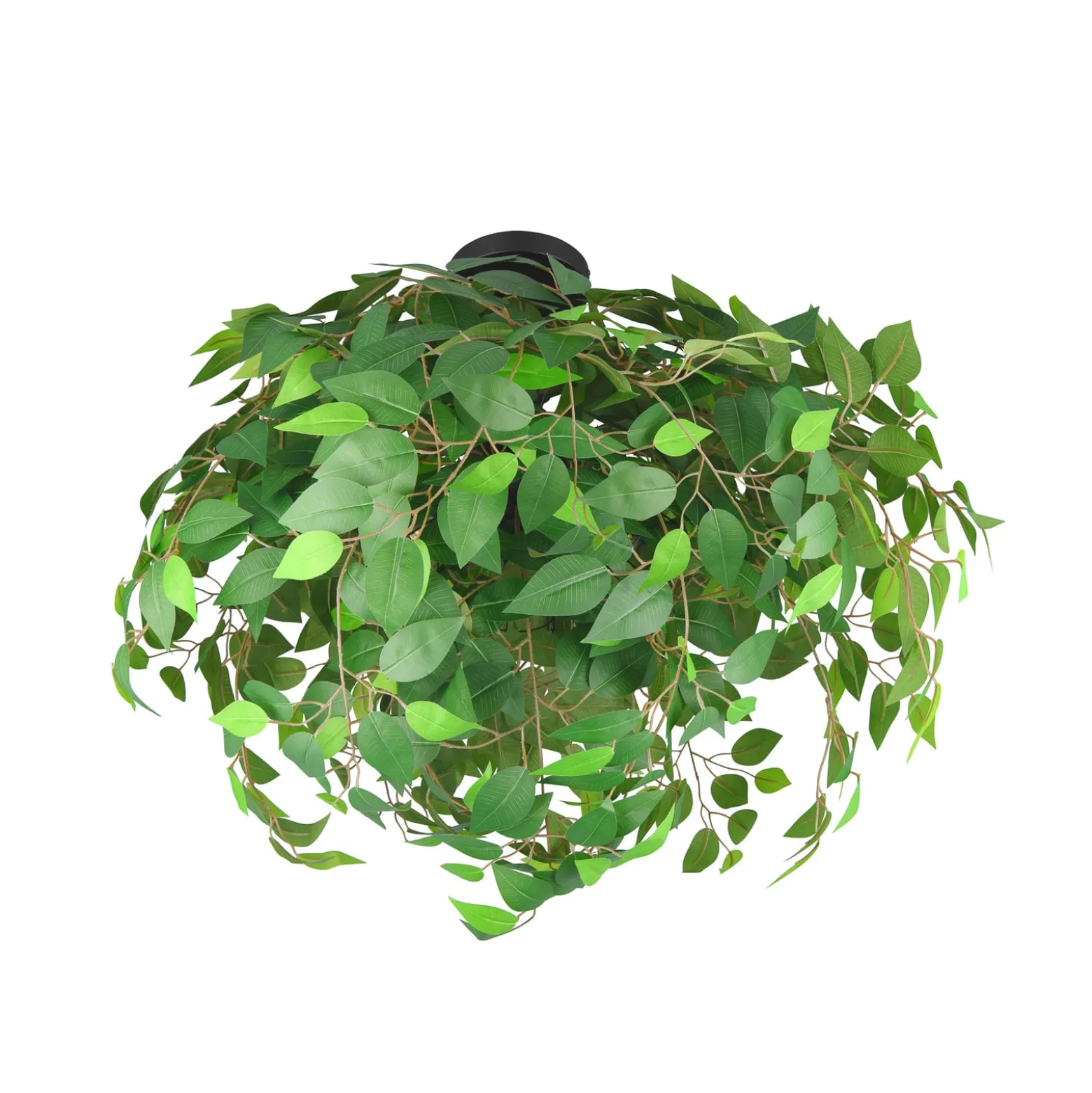 Deckenleuchte Leavy, schwarz/grün, Ø 70 cm, E14, 3-flammig