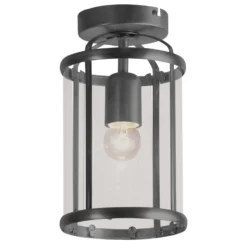 Deckenleuchte Pimpernel, schwarz, Metall, Glas