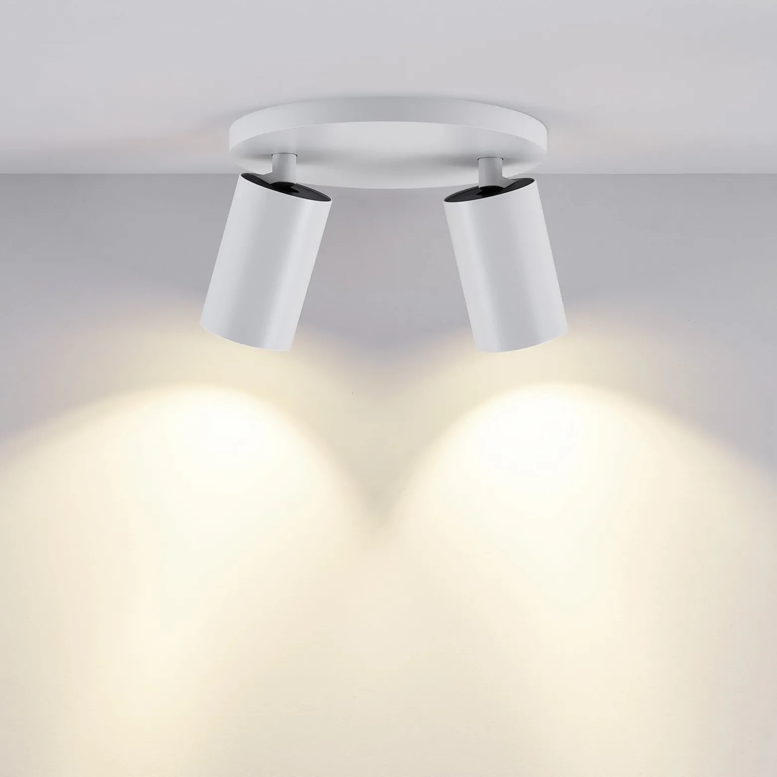 Deckenspot CAN TILT, weiß, Ø 20 cm, 2-flammig, Metall, GU10