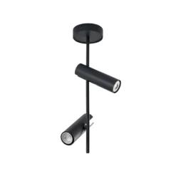 Deckenspot Leda 2, anthrazit, 2-flammig, Stahl, Höhe 55 cm