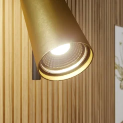 Deckenspot Leda 2, zweiflammig, schwarz-gold