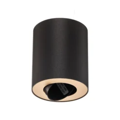 Deckenspot Set, verstellbar, schwarz, innen gold