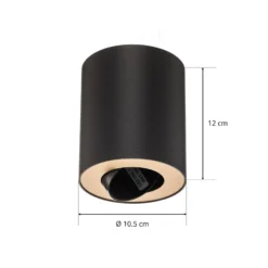 Deckenspot Set, verstellbar, schwarz, innen gold