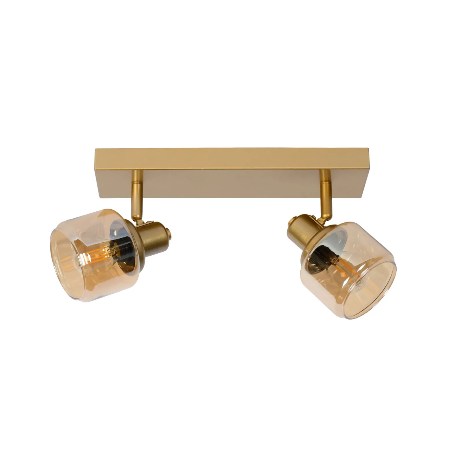 Deckenstrahler Bjorn, zweiflammig, gold/messing