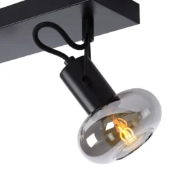 Deckenstrahler Madee, schwarz/rauch, zweiflammig