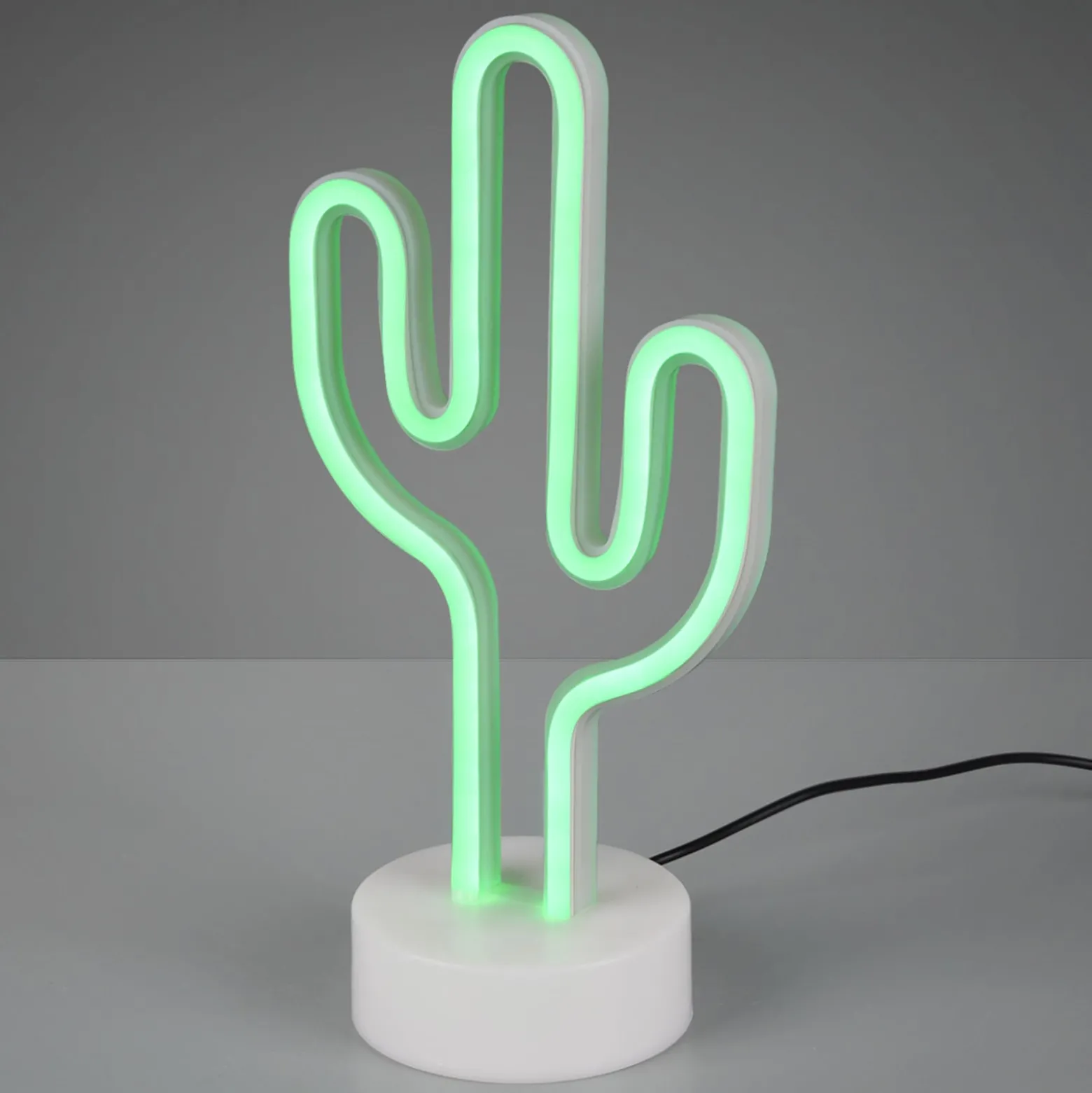Dekoleuchte Cactus
