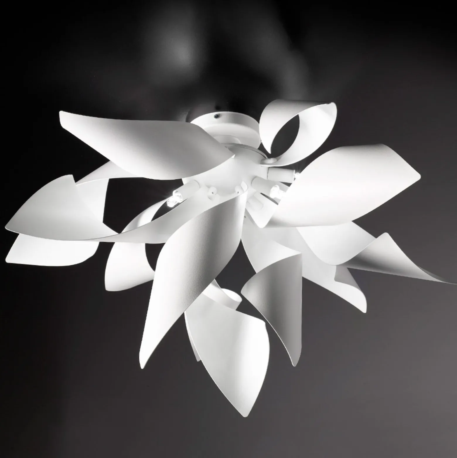 Designer-Deckenleuchte Ginger, 50 cm