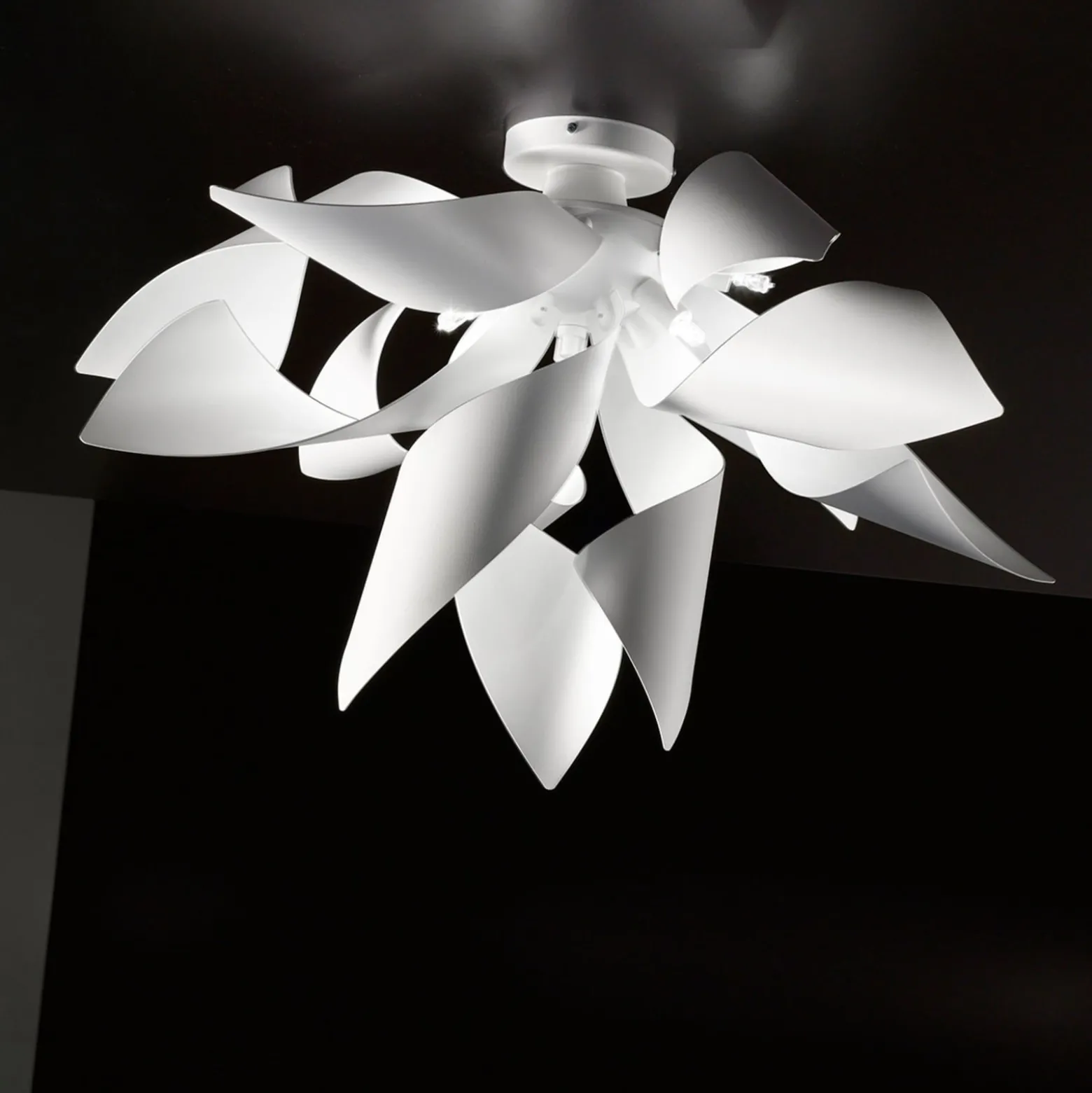 Designer-Deckenleuchte Ginger, 50 cm