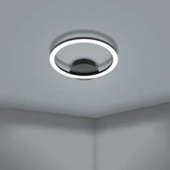 EGLO connect Parrapos-Z LED-Deckenlampe, 1-flammig