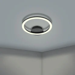 EGLO connect Parrapos-Z LED-Deckenlampe, 1-flammig