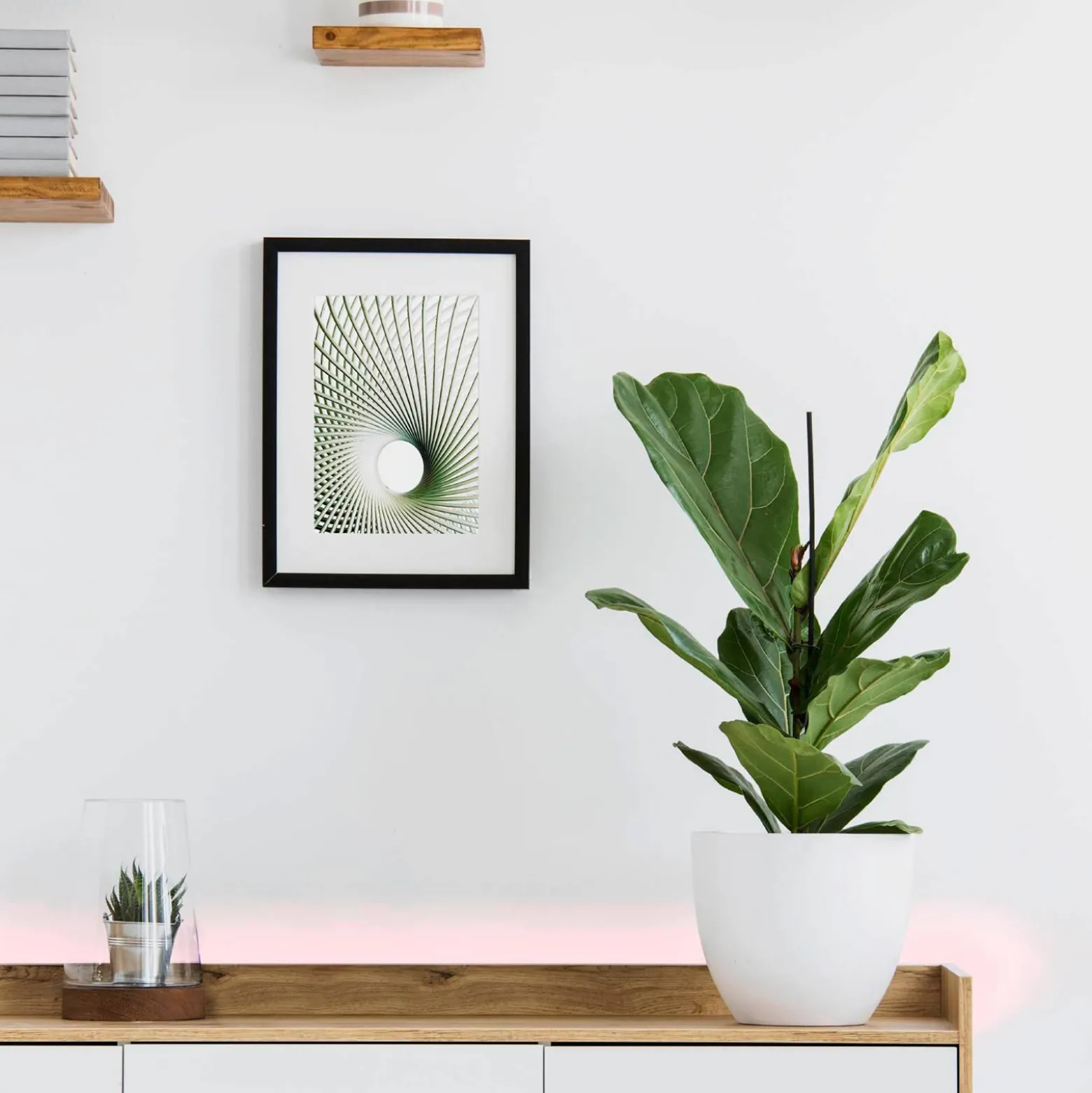 EGLO connect Stripe-C LED-Strip RGBW 300cm
