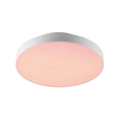 EGLO connect Turcona-Z LED-Deckenleuchte Ø 30 cm