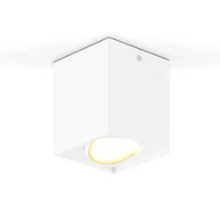 EVN Kardanus LED-Deckenleuchte, 9x9cm, weiß