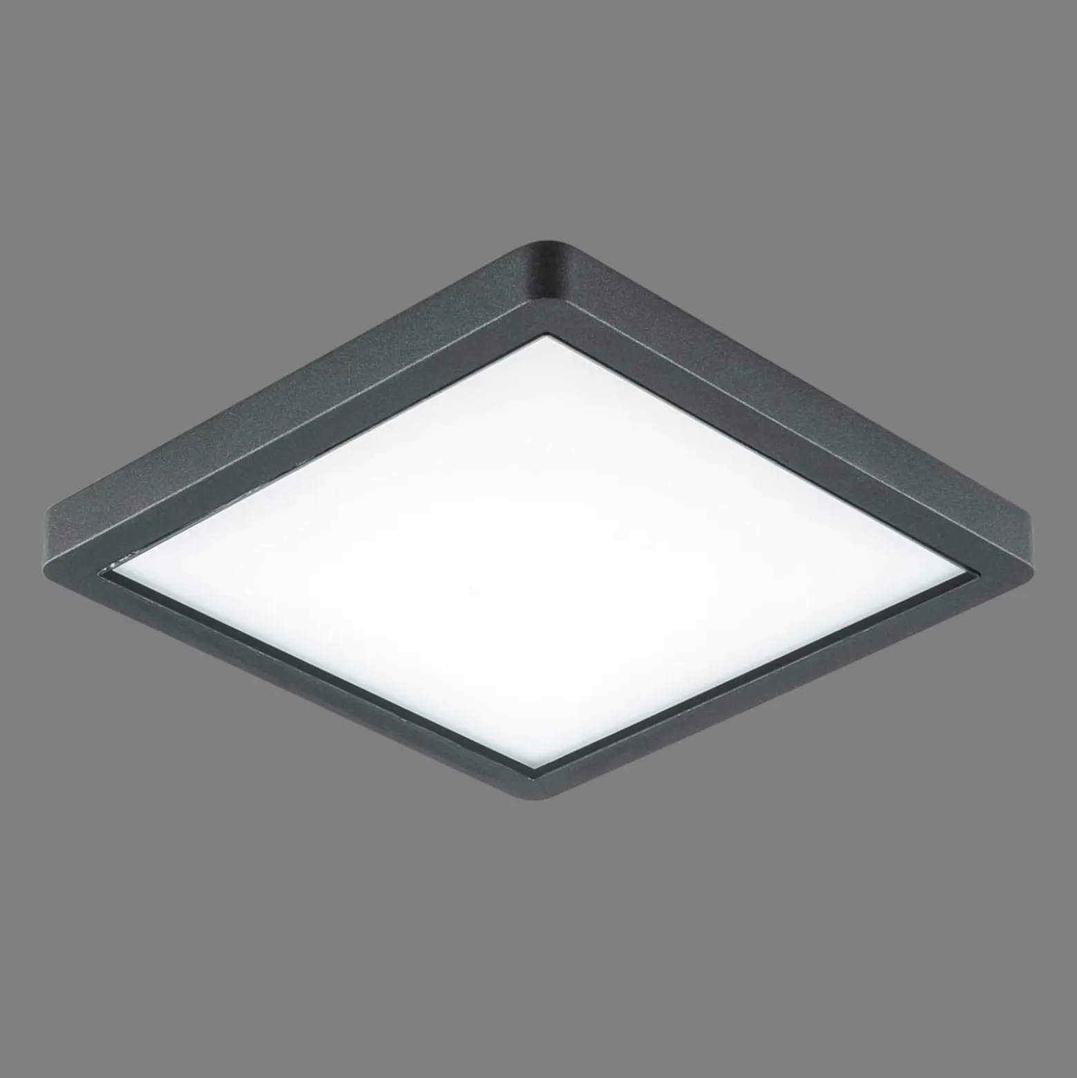 EVN Tectum LED-Außendeckenleuchte eckig mit Glas