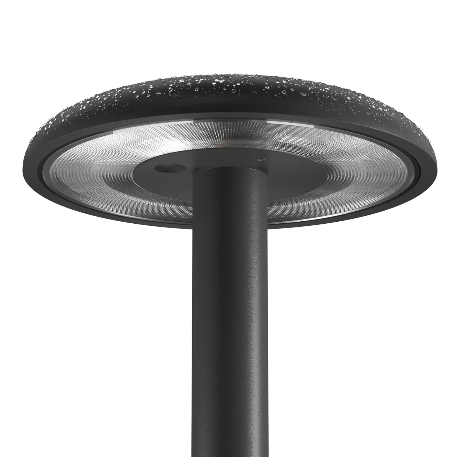 FLOS Gustave LED-Tischleuchte, Akku 3.000K schwarz