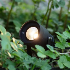 Garden 24 LED-Spotlight, schwarz, 6 Watt