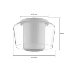 Helestra Canio Glas-Deckenleuchte, außen klar