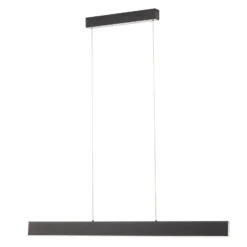 Helestra Nex LED-Pendelleuchte schwarz matt
