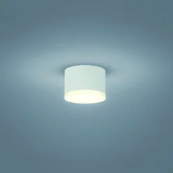 Helestra Pala - LED-Aufbau-Downlight, weiß