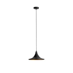 Hängeleuchte Genisy, schwarz, Ø 31 cm, Metall, E27