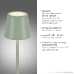 JUST LIGHT. LED-Akku-Stehleuchte Euria, grün, Eisen, IP54