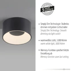 JUST LIGHT. LED-Deckenleuchte Tanika schwarz, Ø16cm, dimmbar