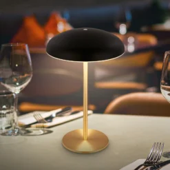 LED-Akku-Tischlampe Brilo unplugged Caxa 30, schwarz/messing