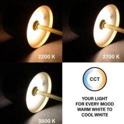 LED-Akku-Tischlampe Roxi, messingfarben, Metall, IP54 Dimmer