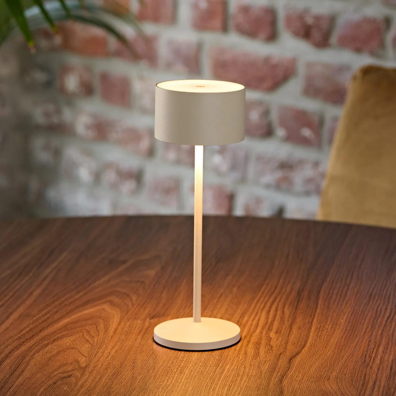 LED-Akku-Tischleuchte Veluna, beige, 3er-Set, 25 cm, IP44