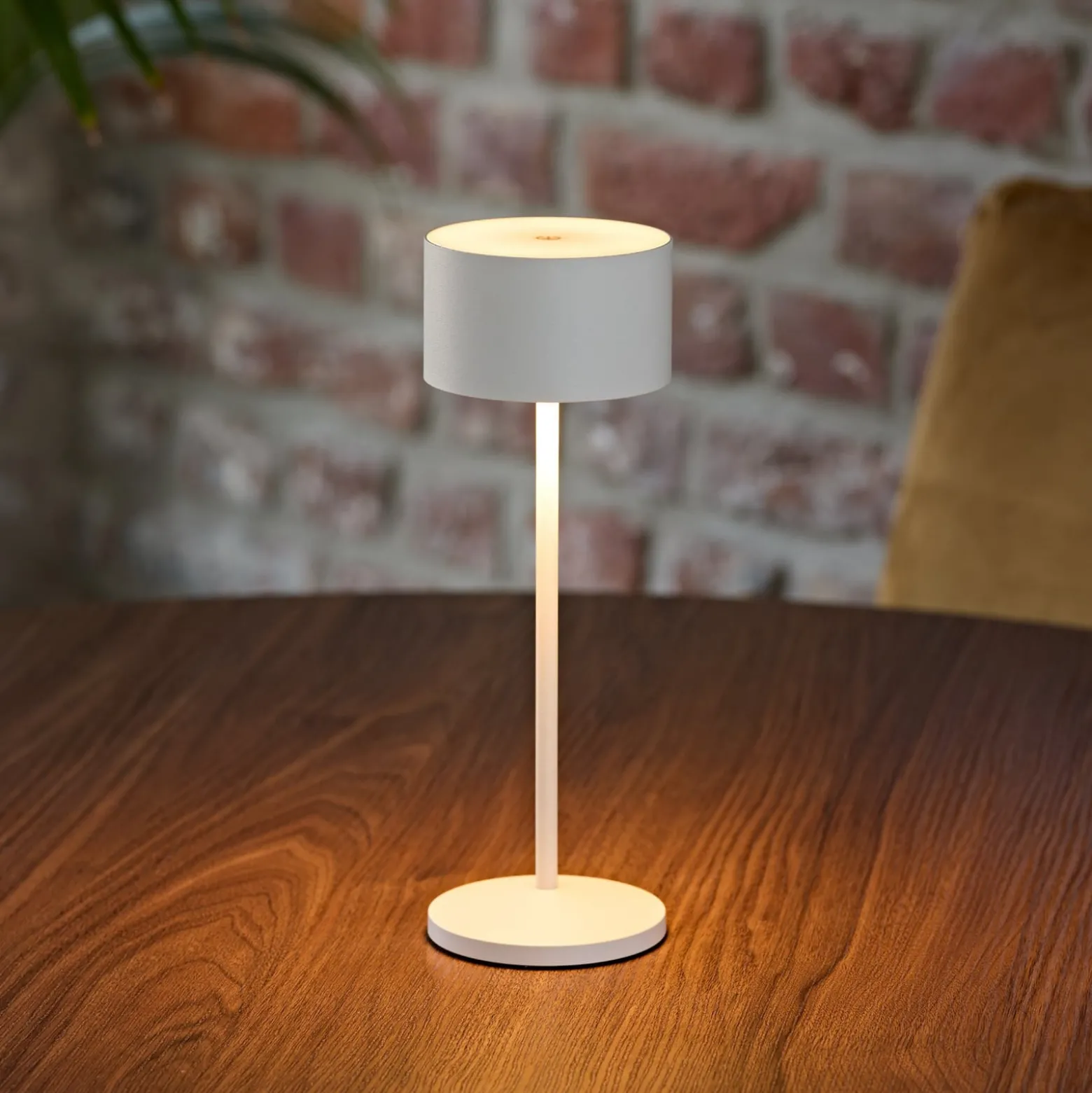 LED-Akku-Tischleuchte Veluna, weiß, 3er-Set, 25 cm, IP44