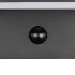 LED-Außenwandlampe Ravi, anthrazit Breite 18 cm Sensor, IP54