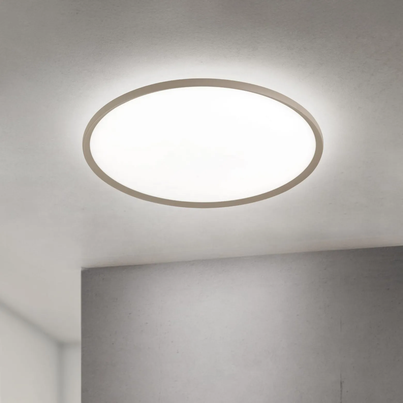 LED-Deckenlampe Kant, Ø 80 cm, khaki, CCT, Metall/Kunststoff