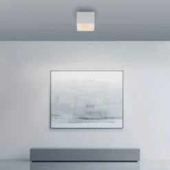 LED-Deckenlampe PURE Manhatten, snow, 1-flg., CCT