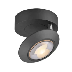 LED-Deckenlampe PURE Oculis, schwarz, Ø 15 cm, Eisen/Glas