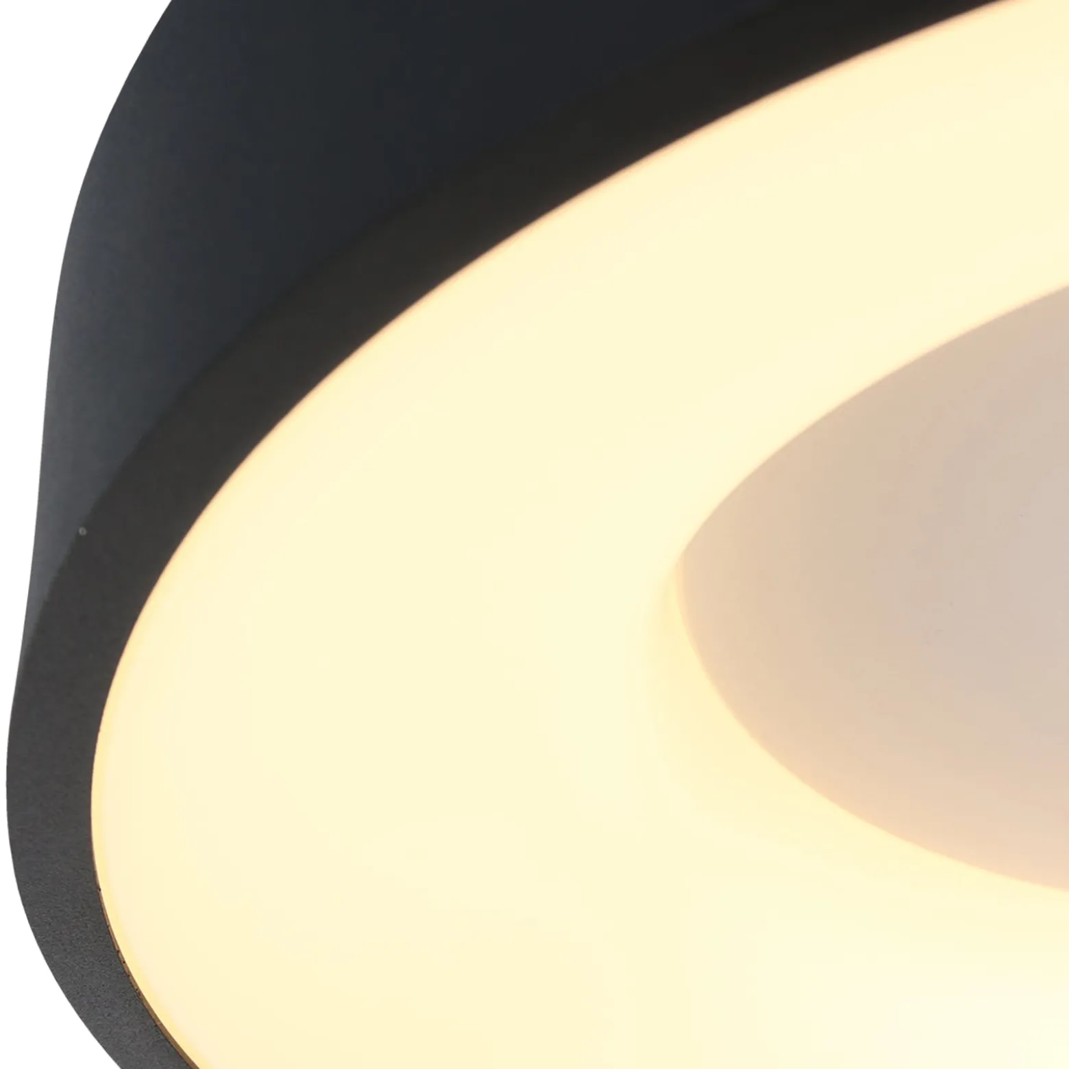 LED-Deckenlampe Ringlede, 2.700 K, Ø 48 cm, schwarz, Metall
