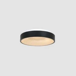 LED-Deckenlampe Ringlede, 2.700 K, Ø 30 cm, schwarz, Metall