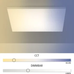 LED-Deckenleuchte Canvas, tunable white, 60 cm