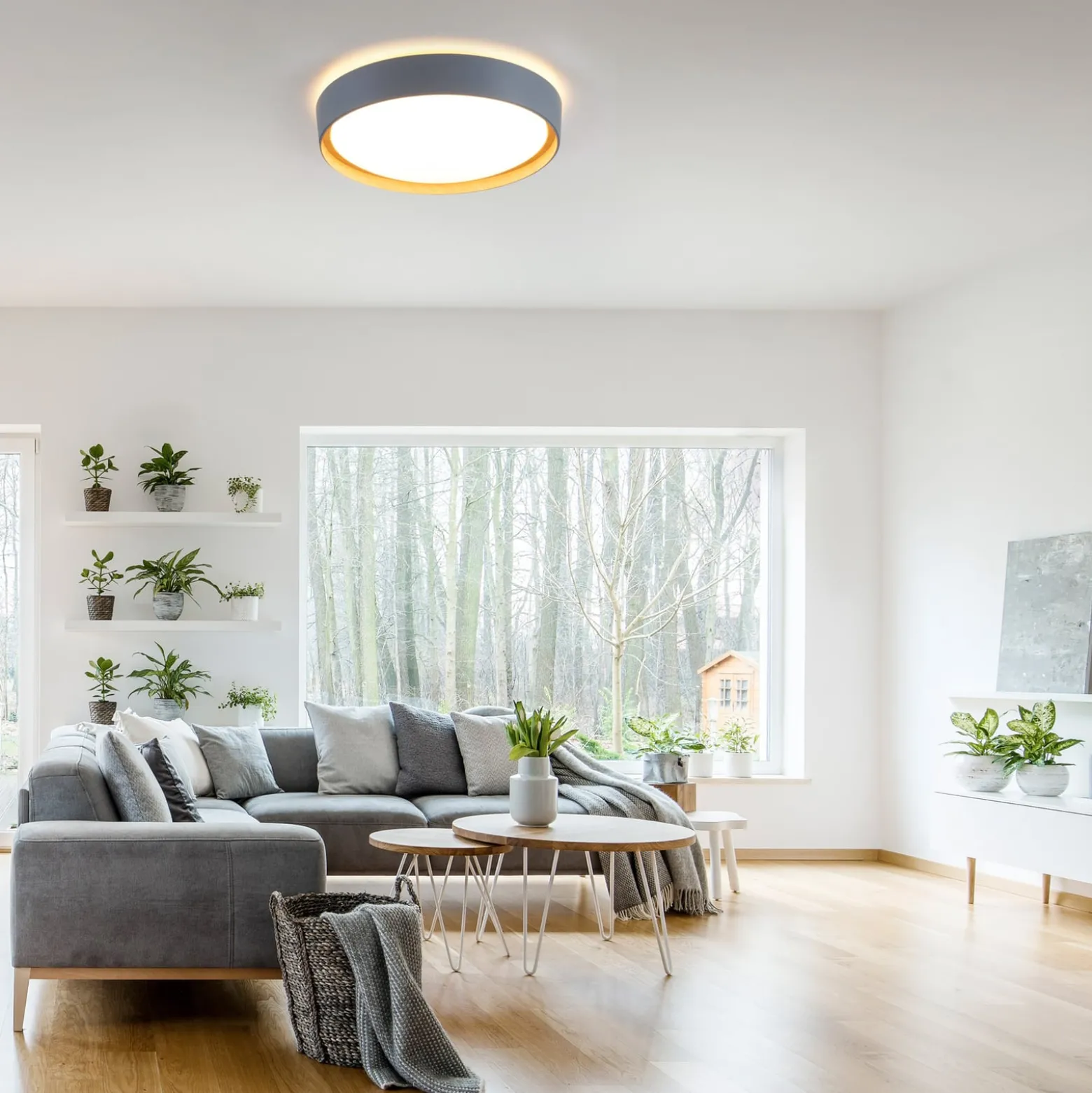 LED-Deckenleuchte Emilia, dreistufig dimmbar, grau