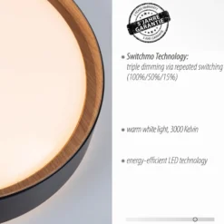 LED-Deckenleuchte Emilia 3-stufig dimmbar schwarz