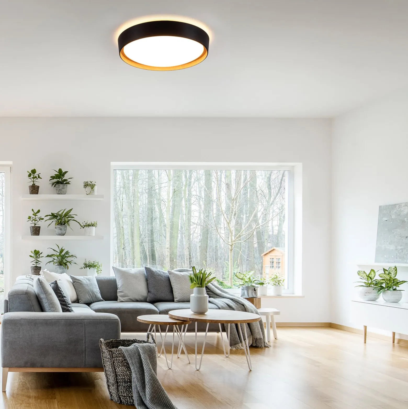 LED-Deckenleuchte Emilia 3-stufig dimmbar schwarz