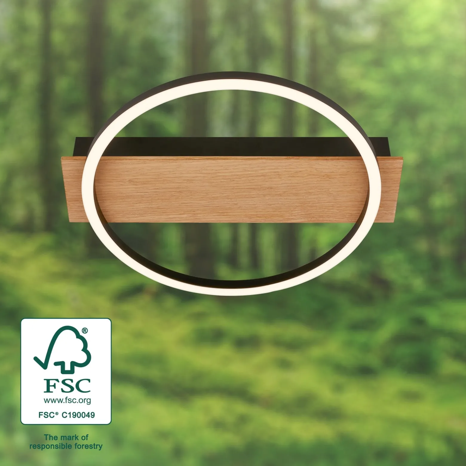 LED-Deckenleuchte Kada, Ø 30 cm, Holz, Metall, schwarz