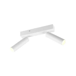 LED-Deckenspot Ambala, 2-fl., weiß, Metall, CCT, dimmbar